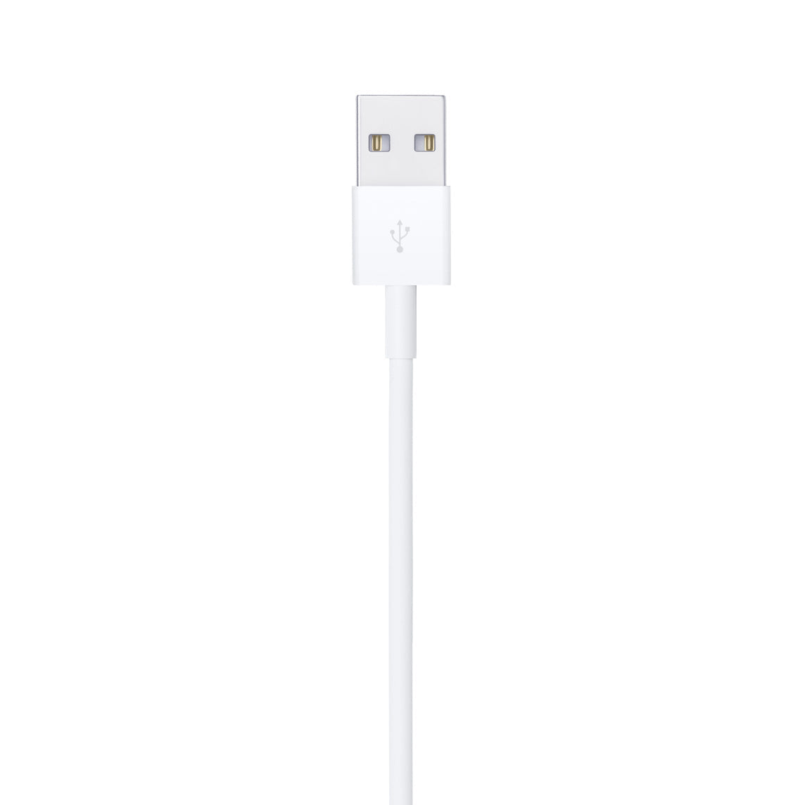 Apple Lightning USB Kabel - 2 Meter Apple