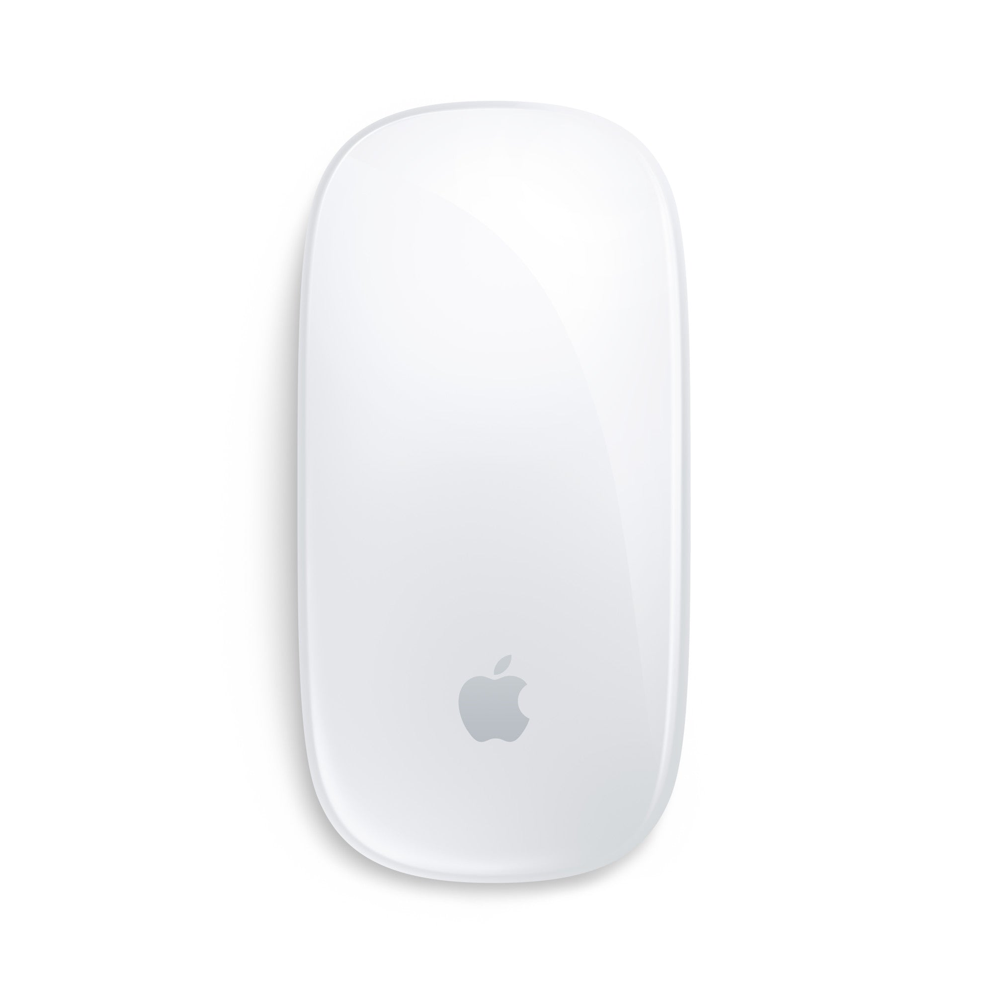 Apple Magic Mouse 2024 - USB-C - Hvid - (MXK53Z/A)